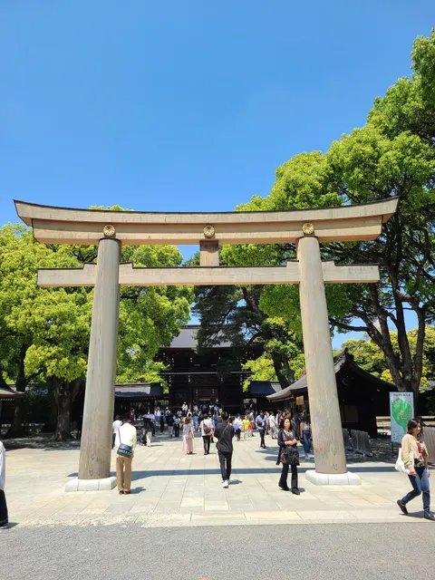 Meiji Jingu Higashi Tamagaki Torii