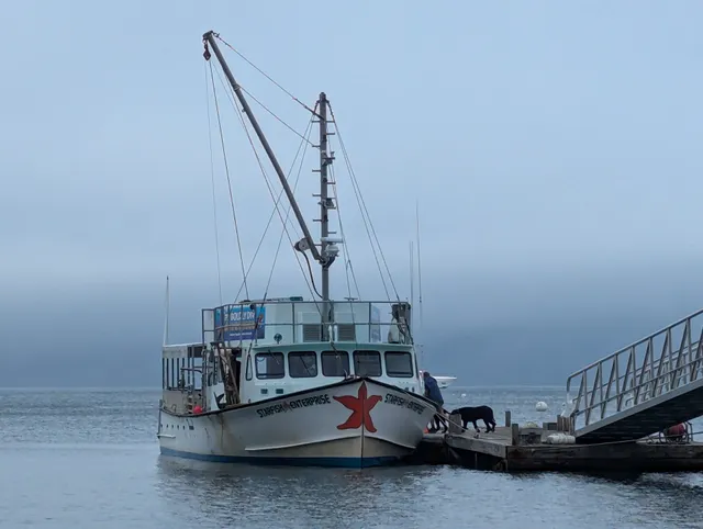 Diver Ed's Dive-In Theatre