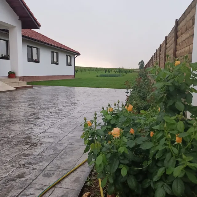 Family House Pristol