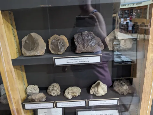 Derby Historical Museum