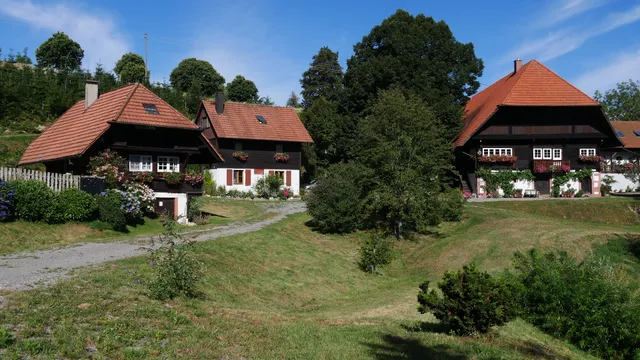 Der Buchenhof - Lucia Bihrer