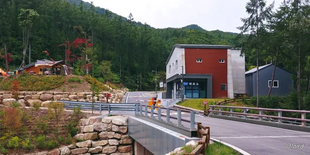 국립화천숲속야영장