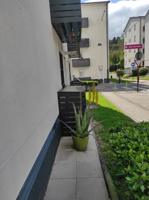 Mercado Municipal de Palavea