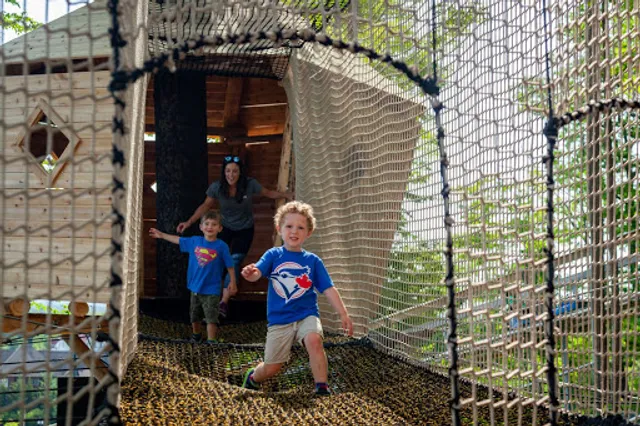 Canopy Climb Net Adventure