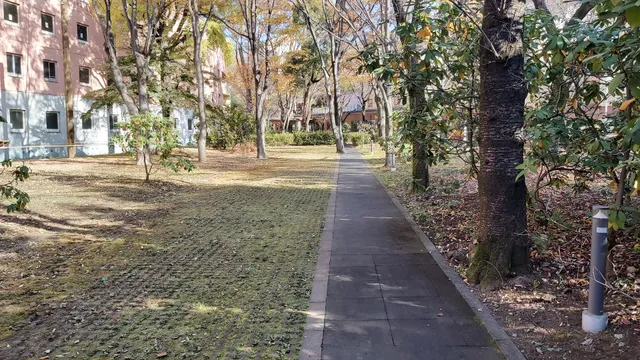 National Olympics Memorial Youth Center