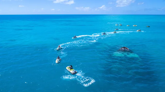 K.S. WaterSports (Dockyard Location)