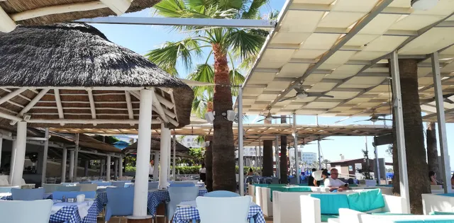Bikini beach bar restaurant