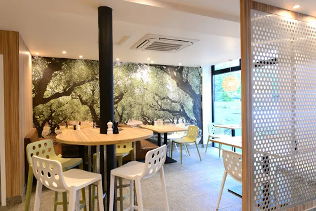 Olive Tree - Eastwood