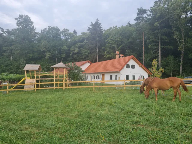 Turistična kmetija Hiša ob gozdu
