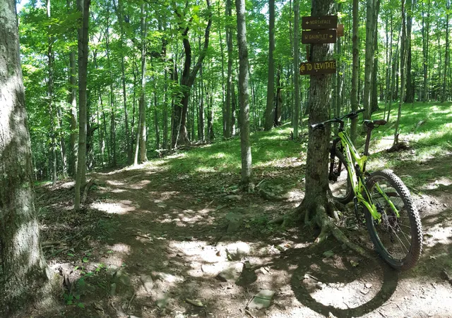 Elm Ridge Wild Forest