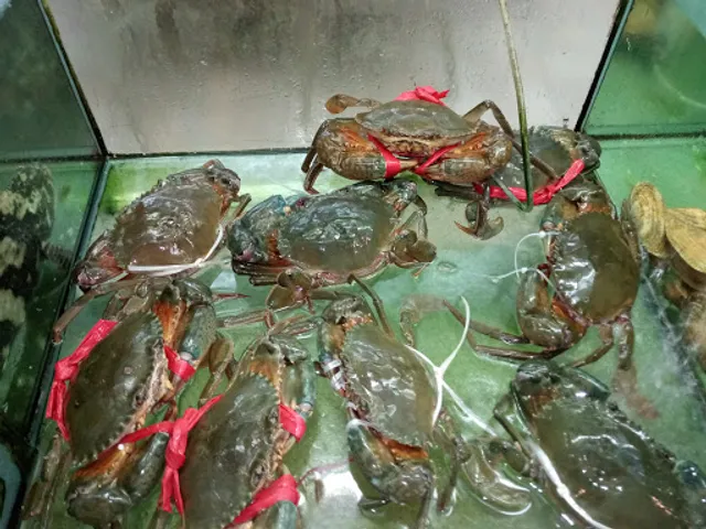 Sanya Jean Seafood Snack Booth