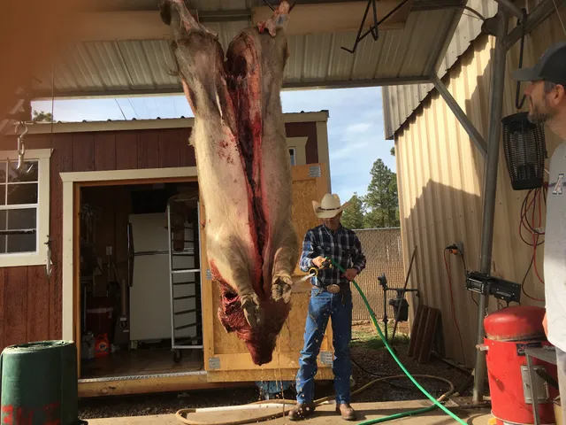 White Mountain Meat Packing LLC