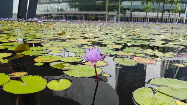 Singapore Art Museum (Corporate Office and Residency Studios)