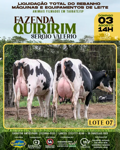 Embral Leilões Rurais