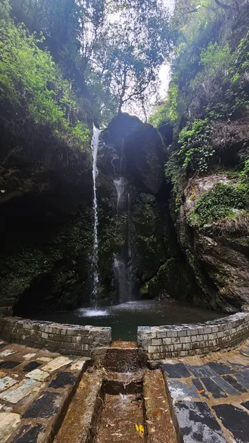 Anahata Organic Living ( Tirthan Valley, Banjar, Cottage, Family, Homestay, Couple Friendly, Farmstay, Cafe, Top )