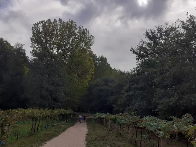 Caminho Português Interior de Santiago