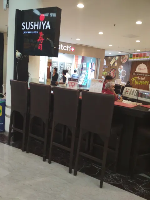 Sushiya Malviya Nagar