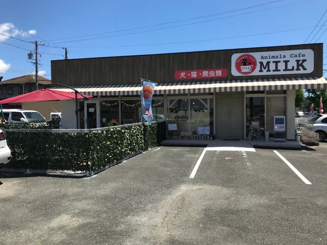Animal Cafe Milk