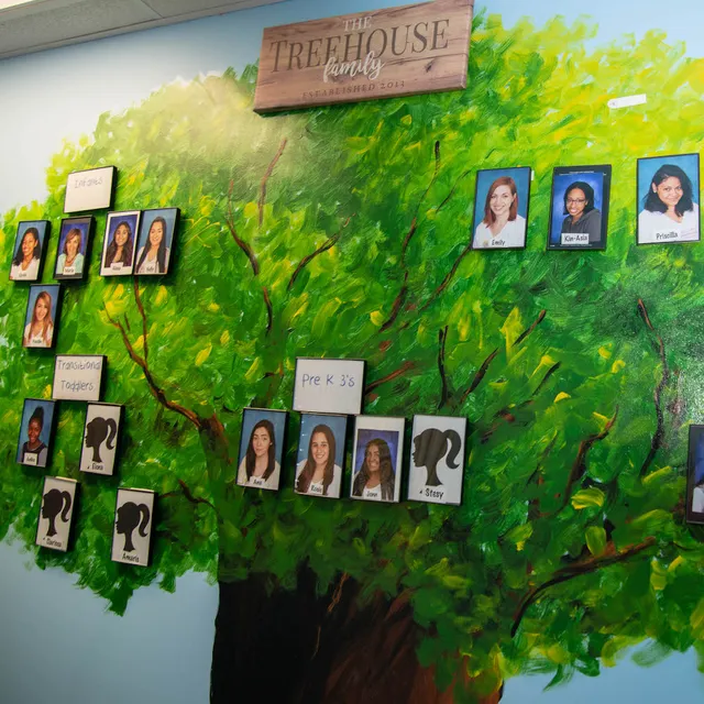 Anna & Jack's Treehouse