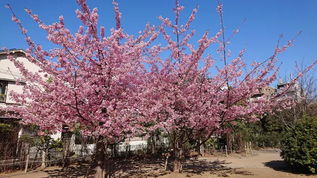 Ikebukuro Honchō Train View Park