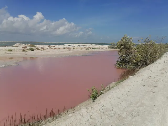 Aventura En Las Coloradas