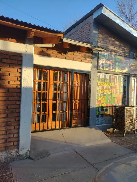 Departamento Payún Matrú