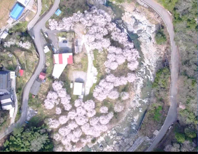 SUGOOI SPORTS Tokushima