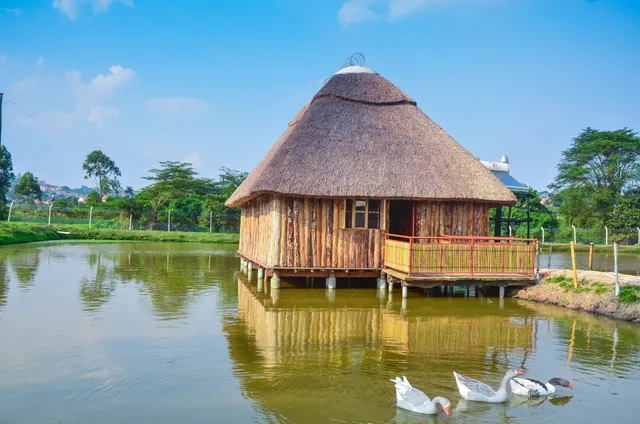 Nyasi Eco Resort, Kajjansi