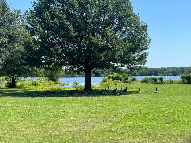 Prairies & Pineywoods Wild Life Trail East • Gambill Goose Refuge - PPWE 114