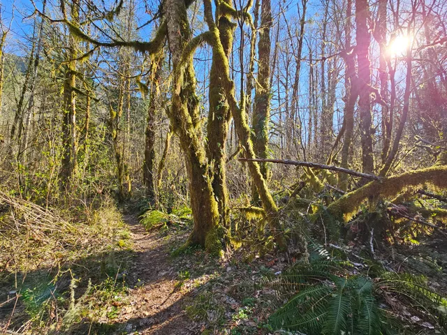 Tilton River State Park
