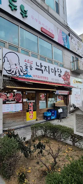 낙지마당