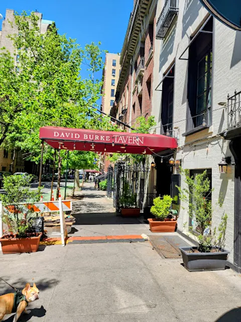 David Burke Tavern
