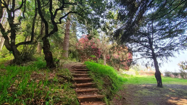 Parque Florestal Pico das Pedras