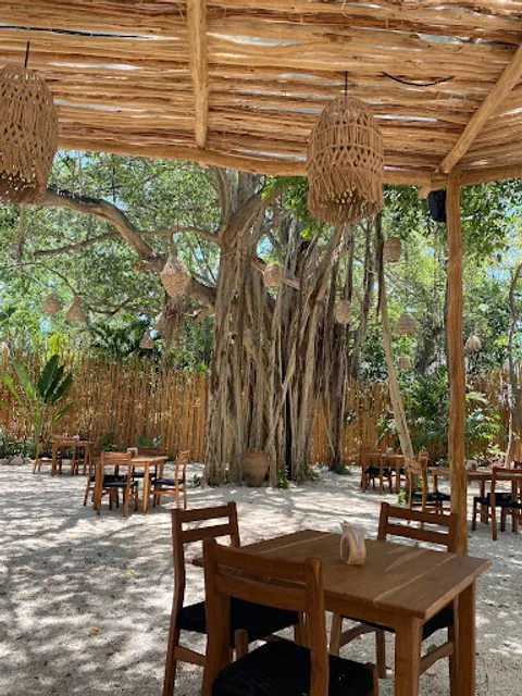 Fresco Hábito Cancún