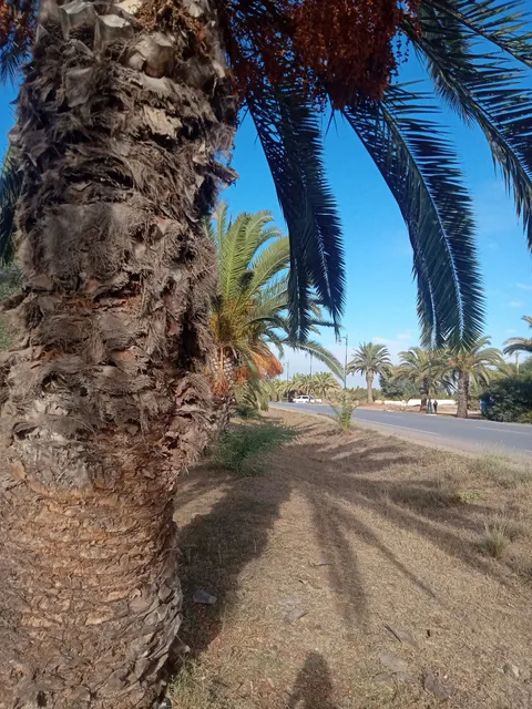 Double Eagle Coin & Jewelry