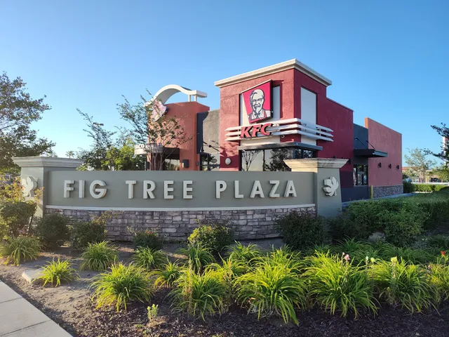 Fig Tree Plaza