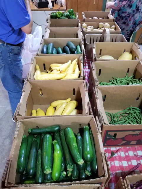 Garden on long hollow pike