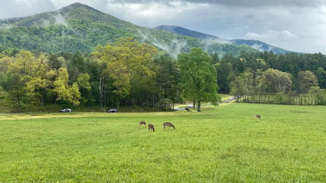 Cades Cove