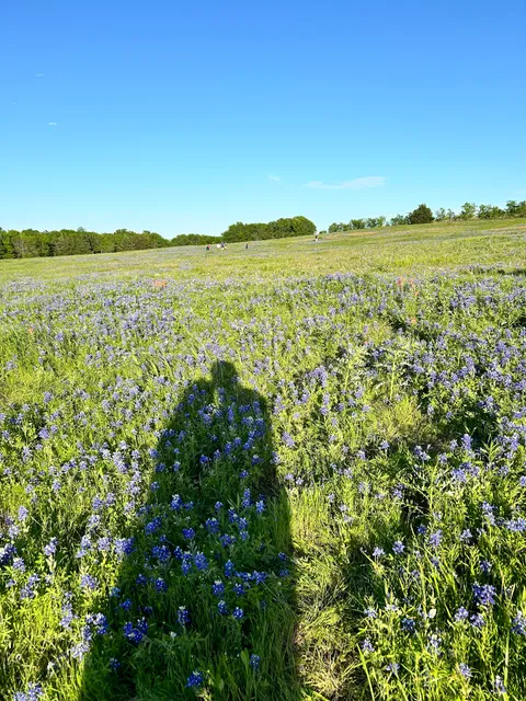 Meadow View Nature Area