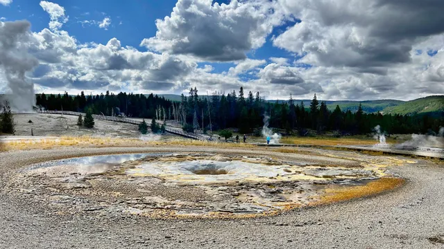 Tardy Geyser
