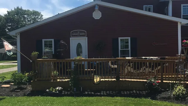 The Curiosity Shoppe