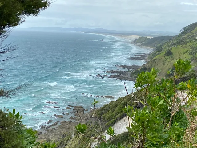 Mangawhai Cliffs Walkway