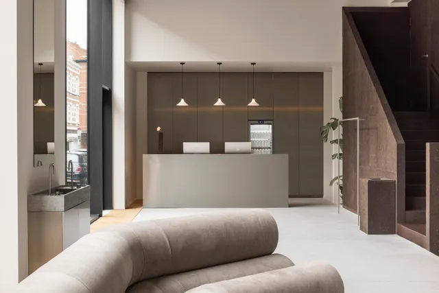 Animo Studios - Brugmann