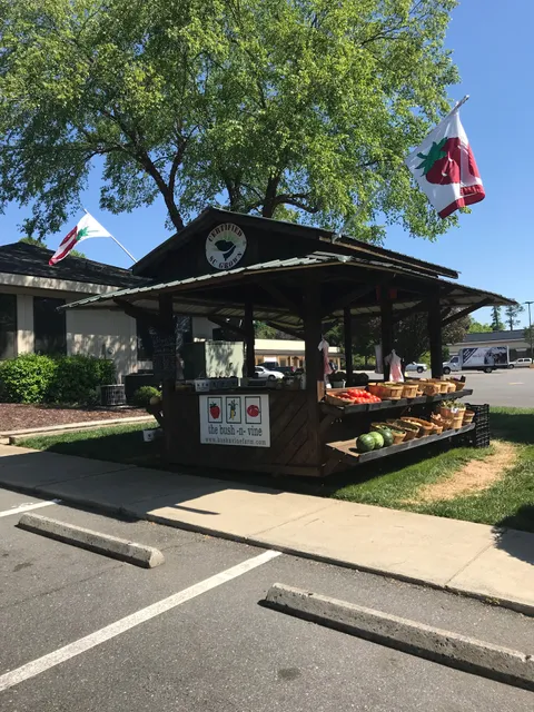 Bush-N-Vine - Lake Wylie