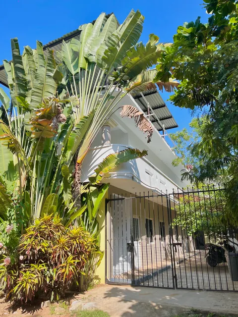 Single Fin Suites & Rooms