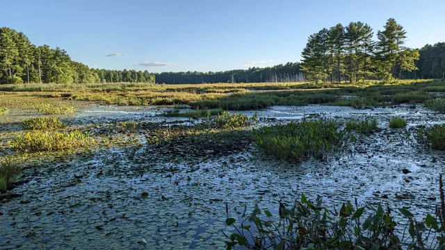 Assabet River National Wildlife Refuge