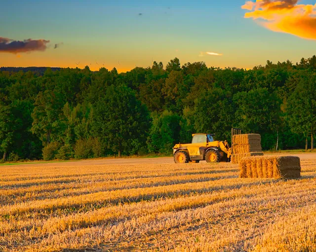 Ferienwohnung "An der Linde"