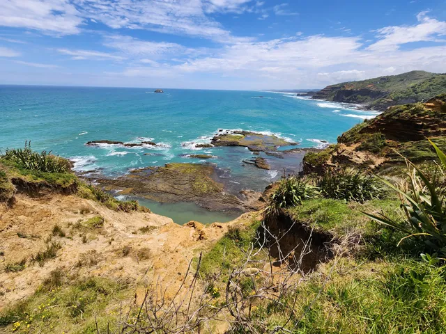 Te Henga Walkway - Constable Rd
