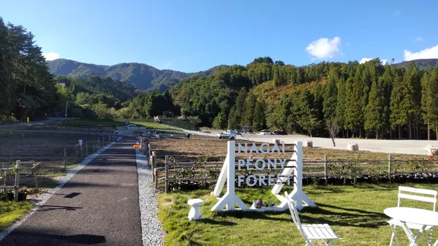 ながいピオニーの森