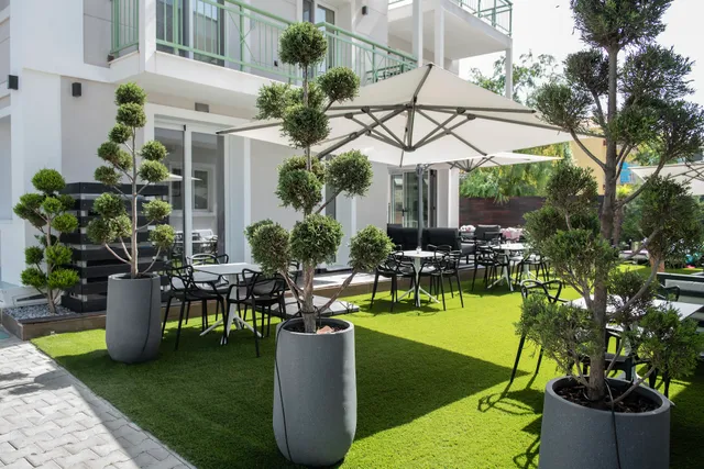 Olive Boutique Hotel